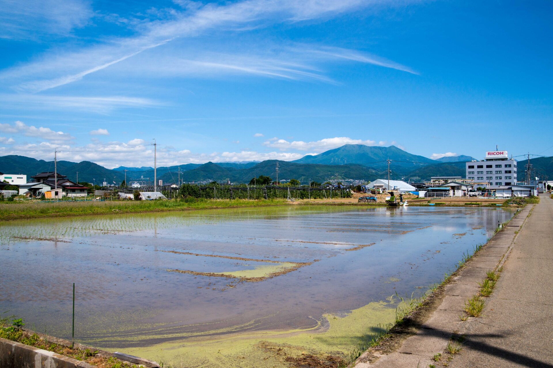 善光寺平にも田植えの時期がきました